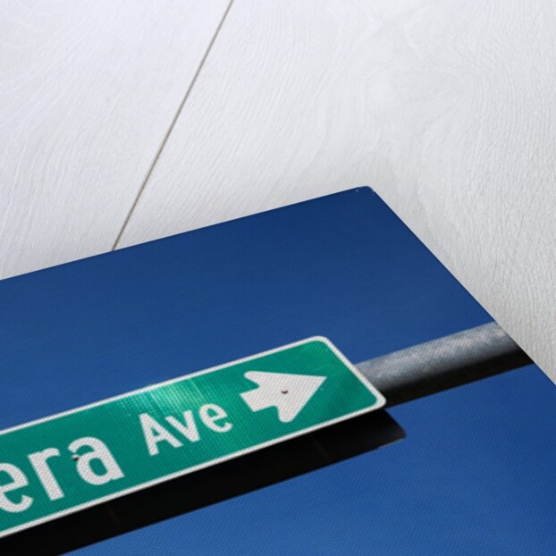 Camera Avenue this way by Anonymous