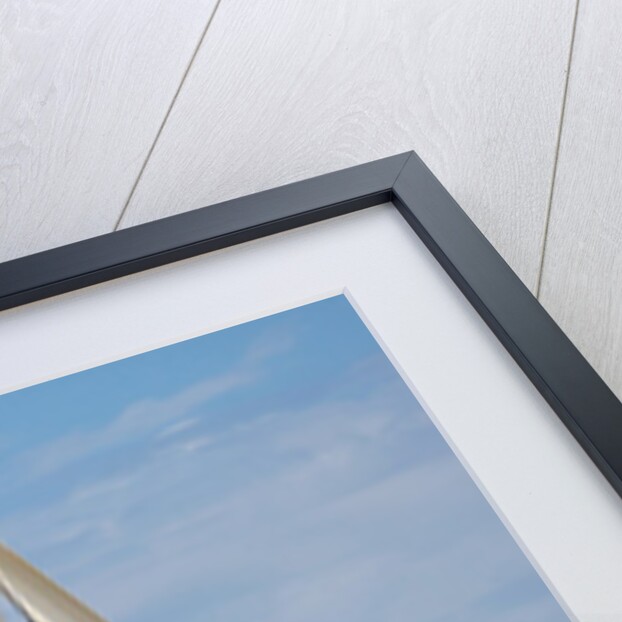 The Clark Bridge over the Mississippi River, also known as Cook Bridge, at Alton, Illinois by Anonymous