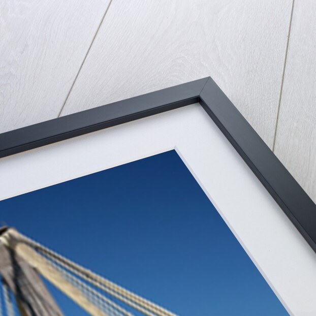 The Clark Bridge over the Mississippi River, also known as Cook Bridge, at Alton, Illinois by Anonymous