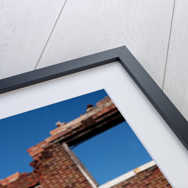 Deserted red brick apartments East St. Louis by Anonymous