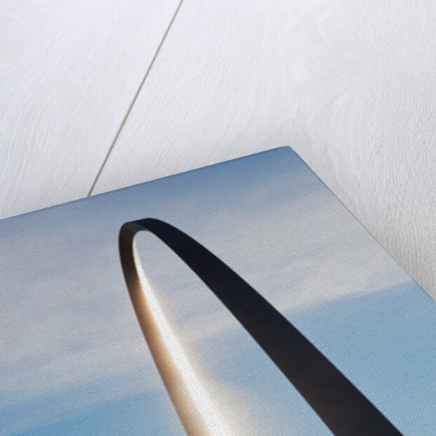 Gateway Arch, the Jefferson National Expansion Memorial, St. Louis, MO. by Anonymous