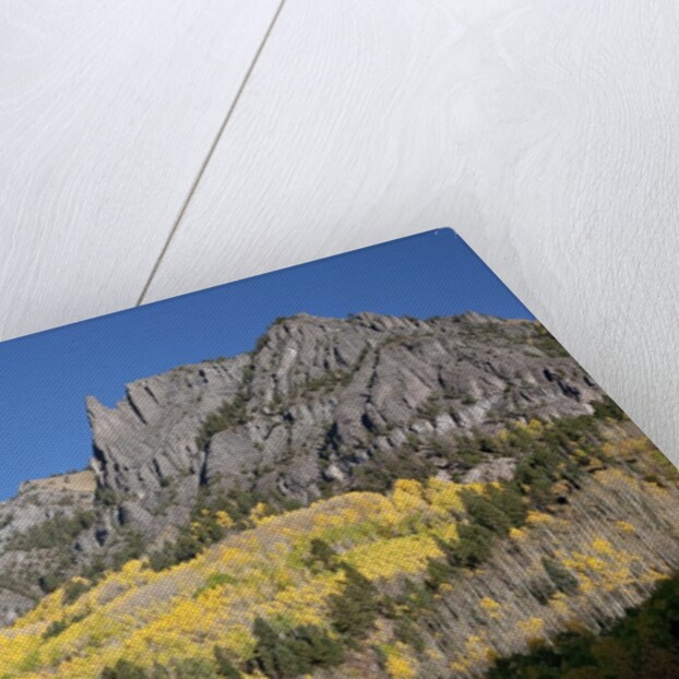 San Juan Mountains and autumn color behind Telluride, CO off mining road by Anonymous