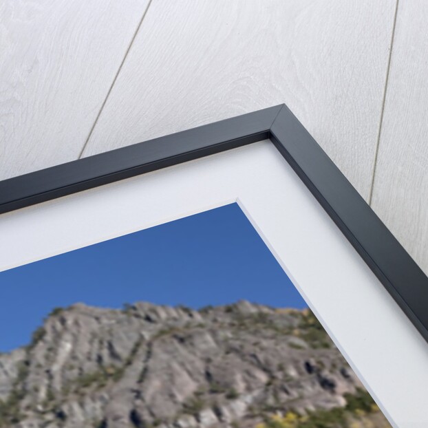 San Juan Mountains and autumn color behind Telluride, CO off mining road by Anonymous