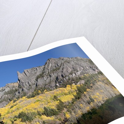San Juan Mountains and autumn color behind Telluride, CO off mining road by Anonymous