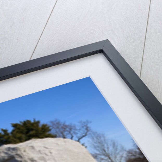 Confederate Flag at The Hermitage, President Andrew Jackson Mansion by Anonymous