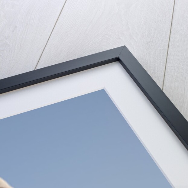 Martin Luther King Jr. National Memorial, a monument to civil rights leader, Washington, D.C. by Anonymous