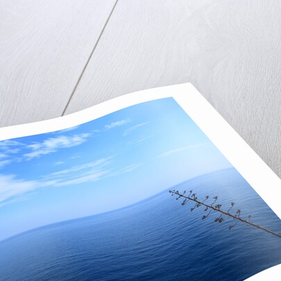 Baia de Tossa by Anonymous