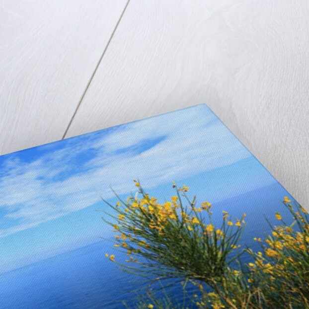 Baia de Tossa by Anonymous