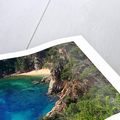 View of the coast from the panoramic road to Sant Feliu de Guixols by Anonymous