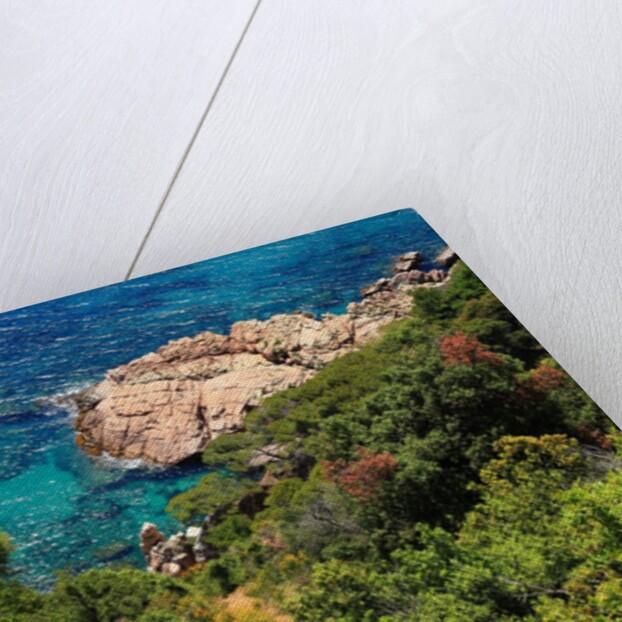 View of the coast from the panoramic road to Sant Feliu de Guixols by Anonymous