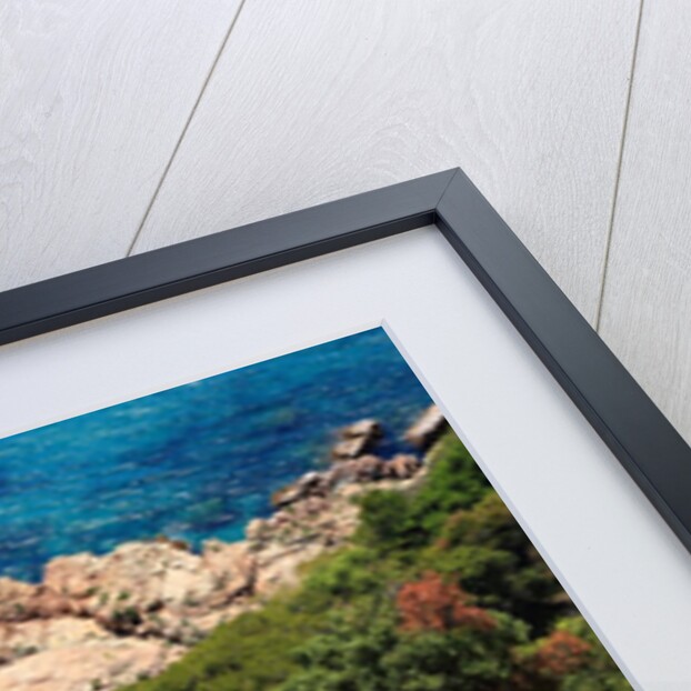 View of the coast from the panoramic road to Sant Feliu de Guixols by Anonymous