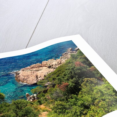 View of the coast from the panoramic road to Sant Feliu de Guixols by Anonymous