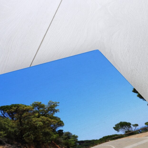 View of the coast from the panoramic road to Sant Feliu de Guixols by Anonymous