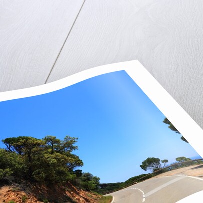 View of the coast from the panoramic road to Sant Feliu de Guixols by Anonymous