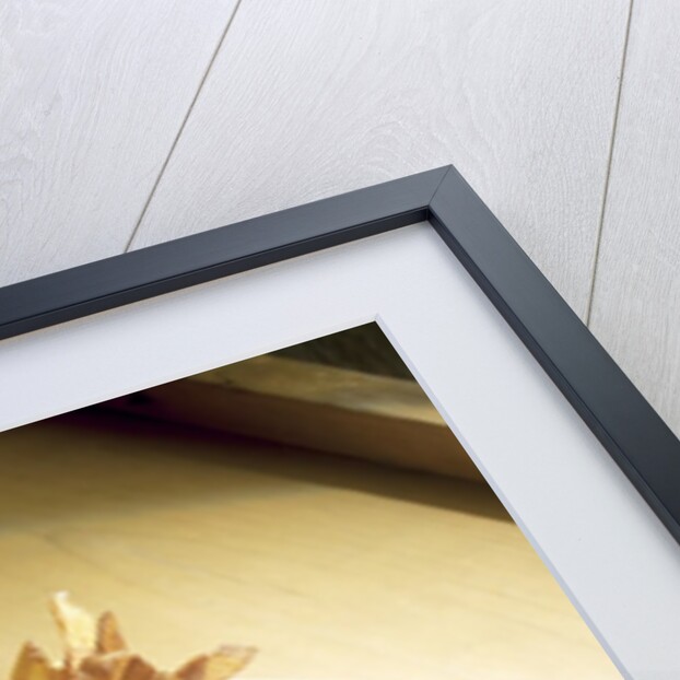 French fries with ketchup by Anonymous