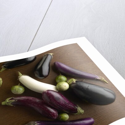 Eggplant by Anonymous