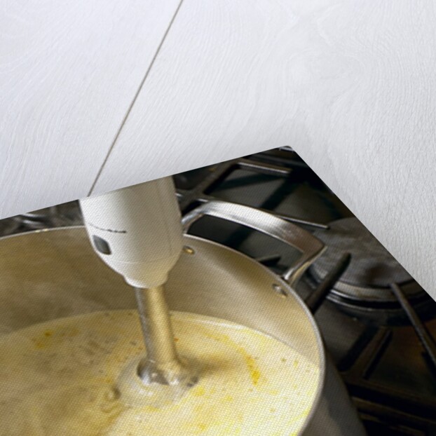 Immersion blender by Anonymous