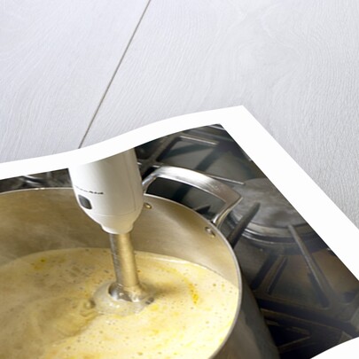 Immersion blender by Anonymous