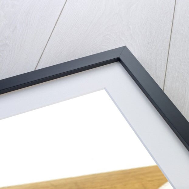 Grilled chicken tacos by Anonymous