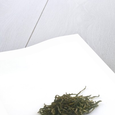 Jasmine tea by Anonymous