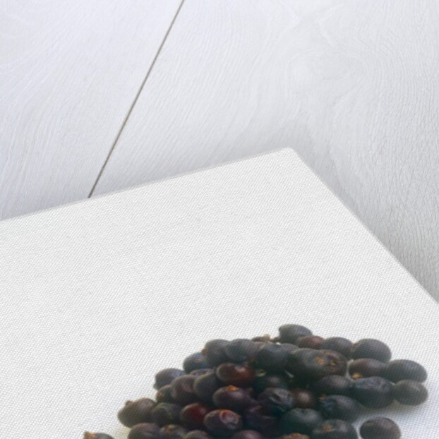 Juniper berries by Anonymous