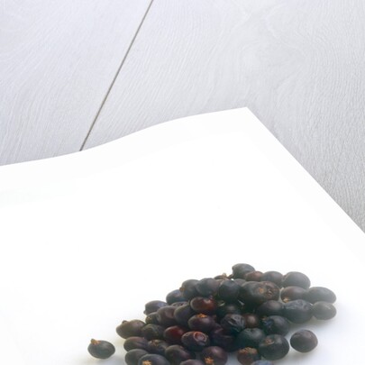 Juniper berries by Anonymous