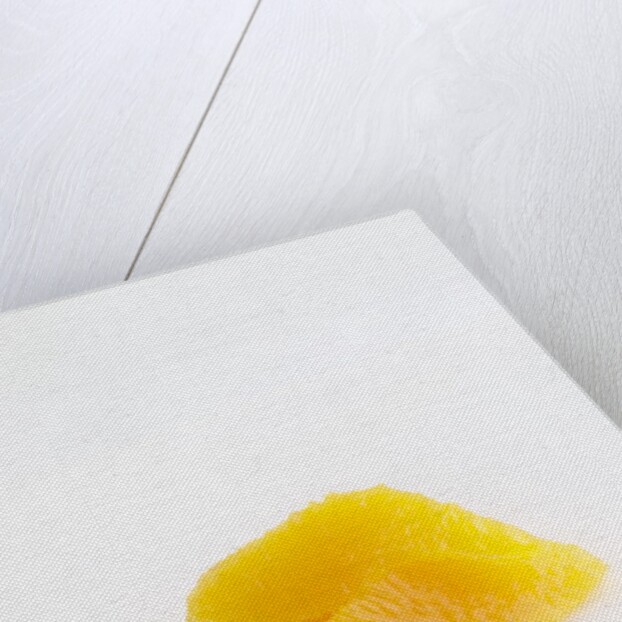 Orange segments by Anonymous