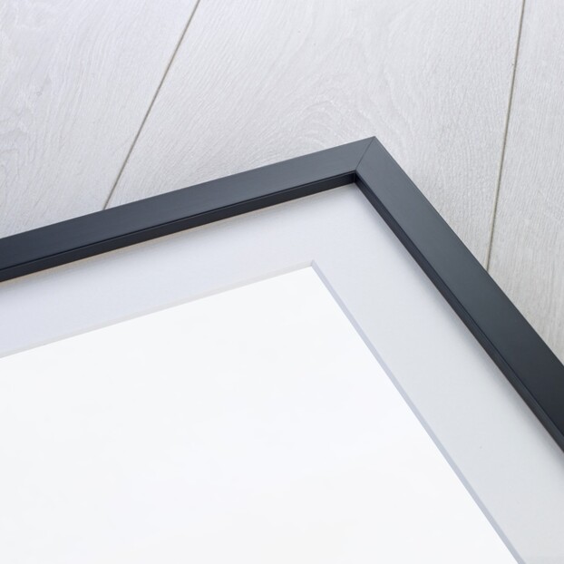 Orange segments by Anonymous