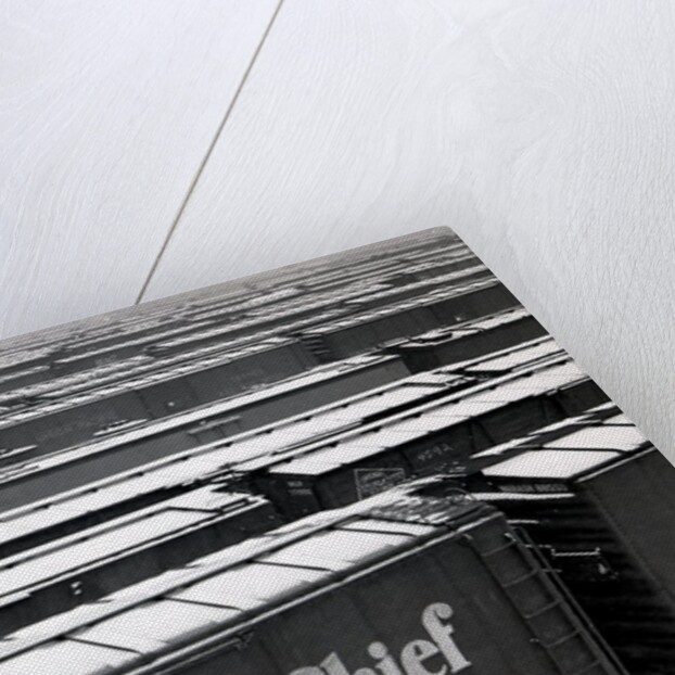 Railroad boxcars in rail yard, Chicago, Illinois, USA, ca. 1950 by Anonymous