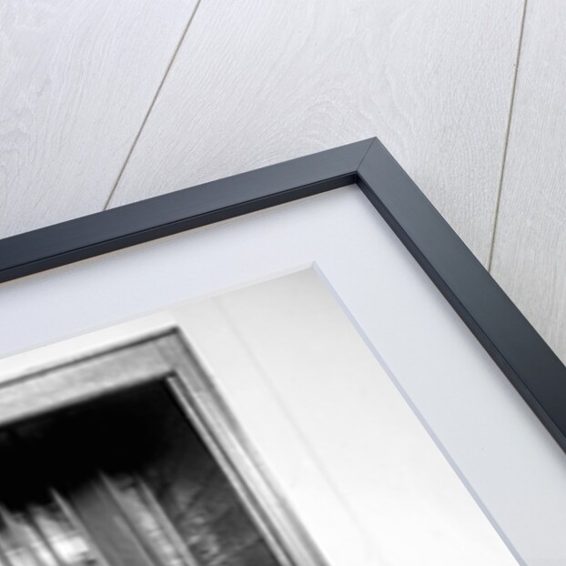 Giant panda Su-Lin at the Brookfield Zoo in Illinois, USA, ca. 1937 by Anonymous