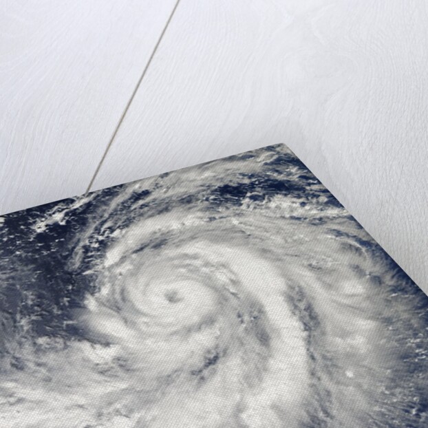 Satellite image of Typhoon Francisco over the Pacific Ocean by Anonymous