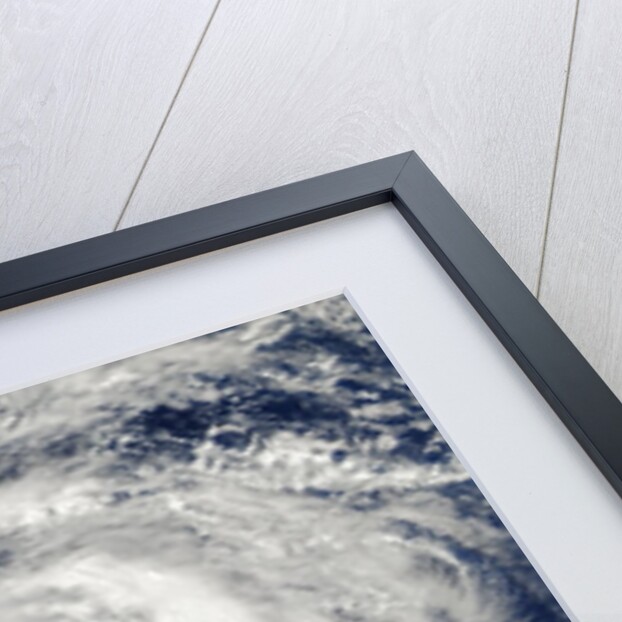 Satellite image of Typhoon Francisco over the Pacific Ocean by Anonymous