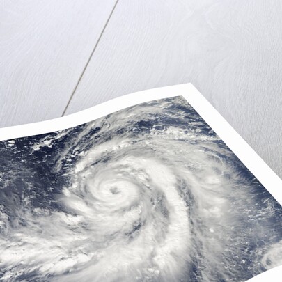 Satellite image of Typhoon Francisco over the Pacific Ocean by Anonymous