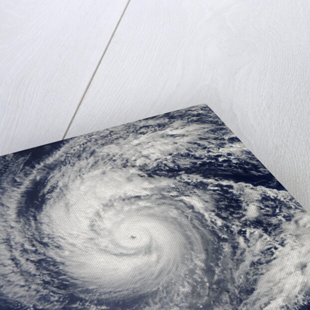 Satellite image of Typhoon Francisco over the Paciific Ocean by Anonymous