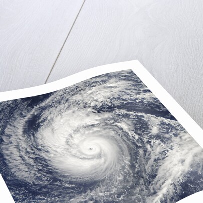 Satellite image of Typhoon Francisco over the Paciific Ocean by Anonymous