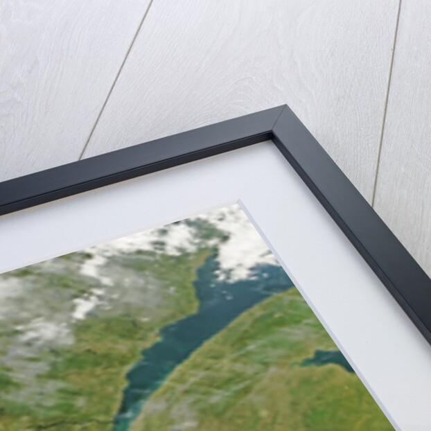 Satellite image of eastern Canada with fall colors by Anonymous