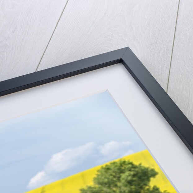 Spring Farm Fields by Anonymous