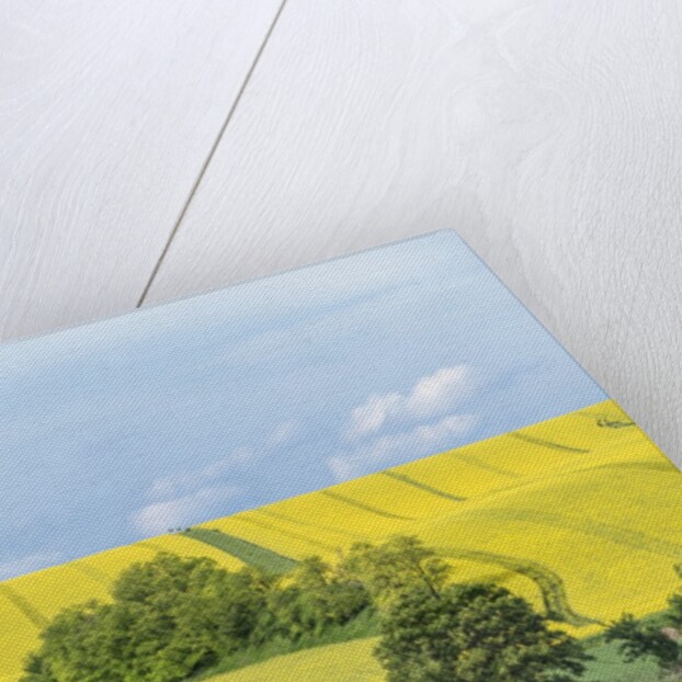 Spring Farm Fields by Anonymous