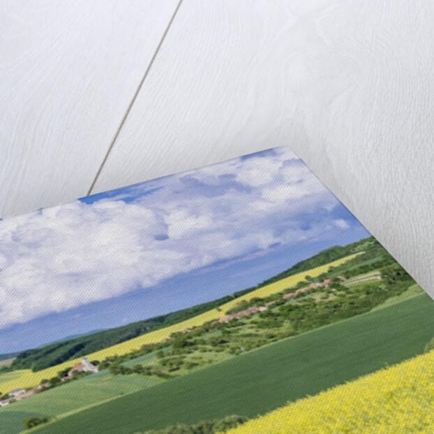 Spring Farm Fields by Anonymous