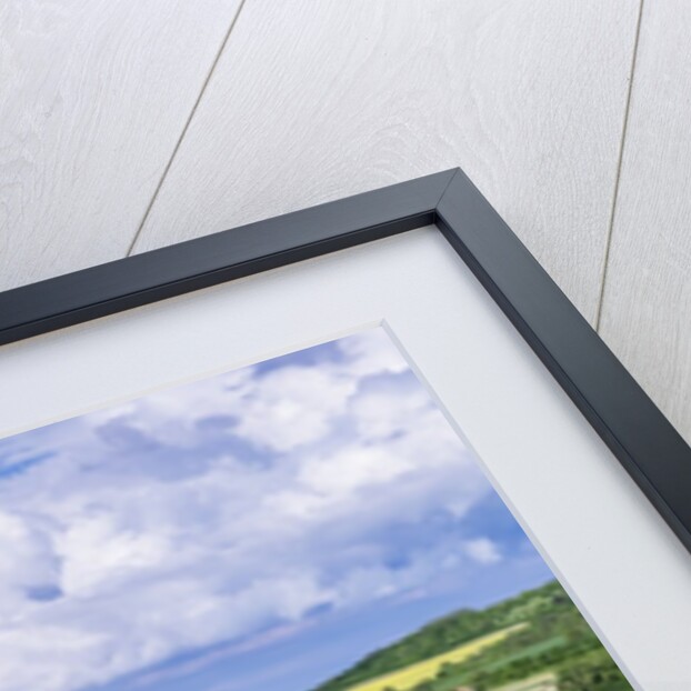 Spring Farm Fields by Anonymous