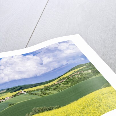 Spring Farm Fields by Anonymous
