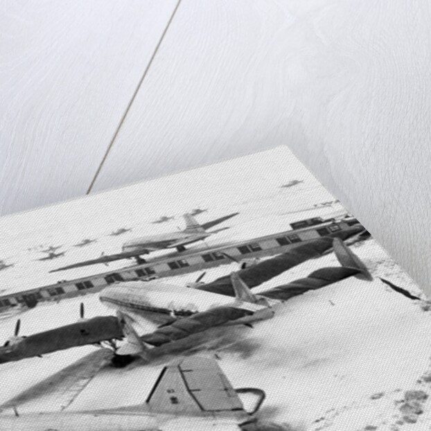 Wings Clipped by Storm by Anonymous