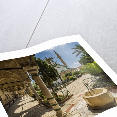 Al-Jazzar Mosque, the exterior by Anonymous