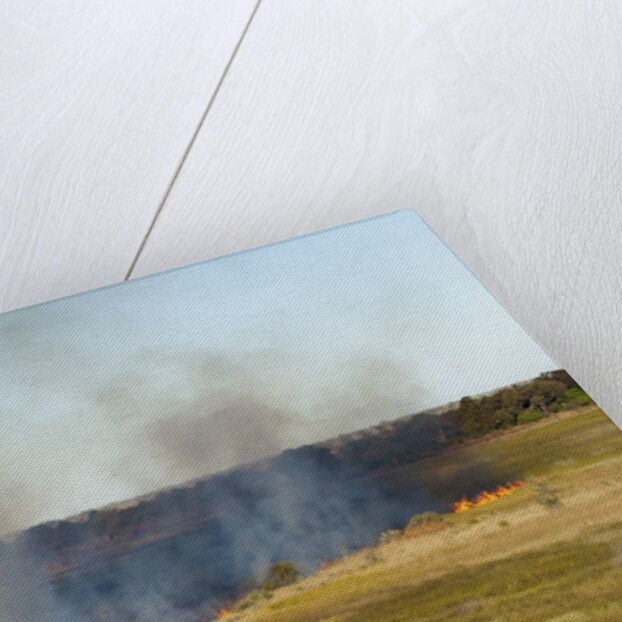 Bushfire in the Okavango Delta by Anonymous