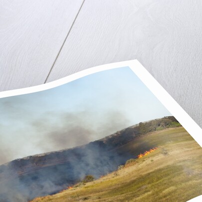Bushfire in the Okavango Delta by Anonymous