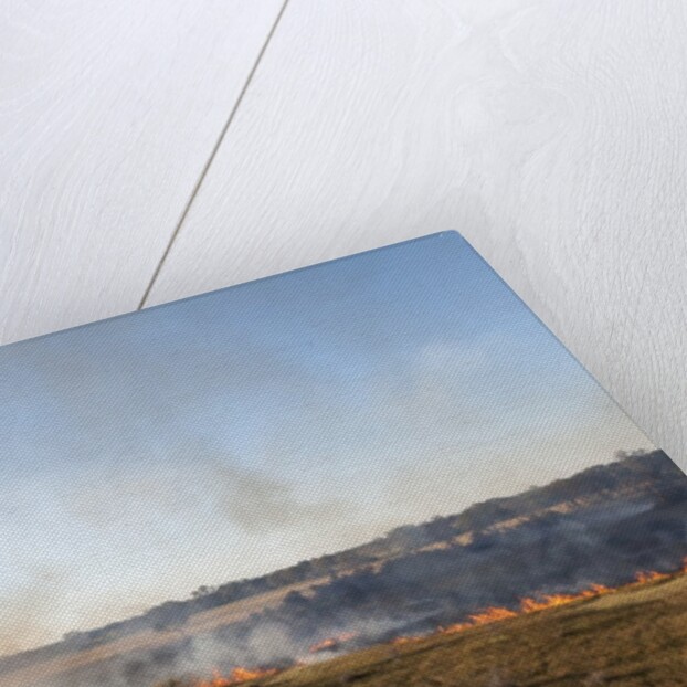 Bushfire in the Okavango Delta by Anonymous