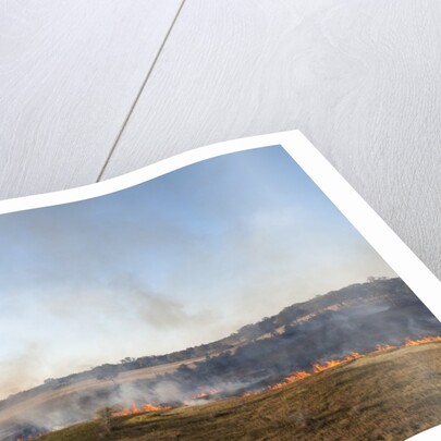 Bushfire in the Okavango Delta by Anonymous