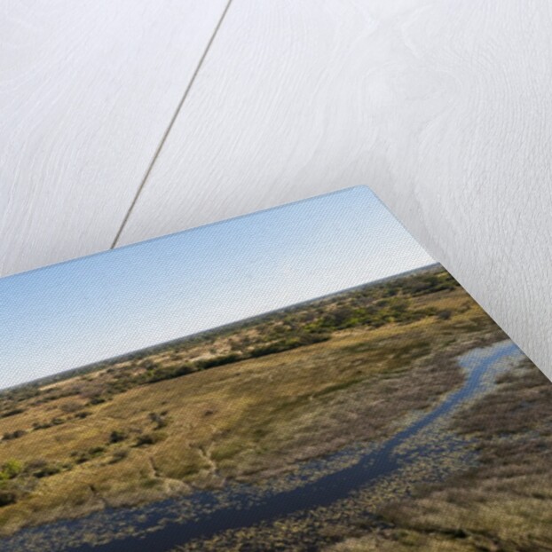 Aerial view of Okavango Delta by Anonymous