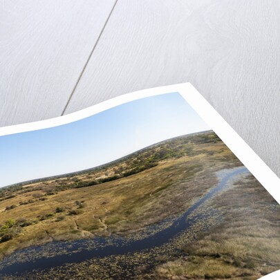 Aerial view of Okavango Delta by Anonymous