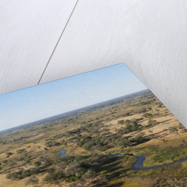 Aerial view of Okavango Delta by Anonymous